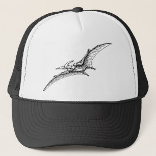 Boné Pterodactyl