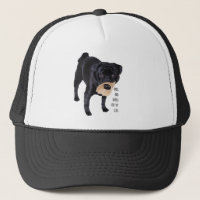 Pug Negro Engraçado Tira Grandes Peitos da Vida