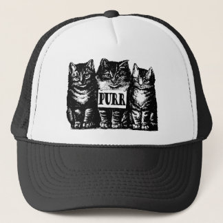 Boné Purr Kittens