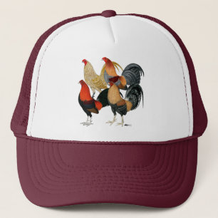 Boné Quatro Gamecocks