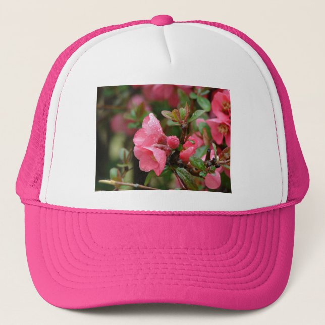 Boné Quince Florindo Rosa de Primavera (Frente)