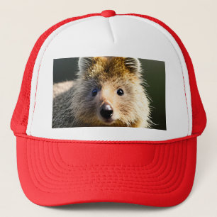 Boné Quintin The Ginger Quokka, Truckers Hat