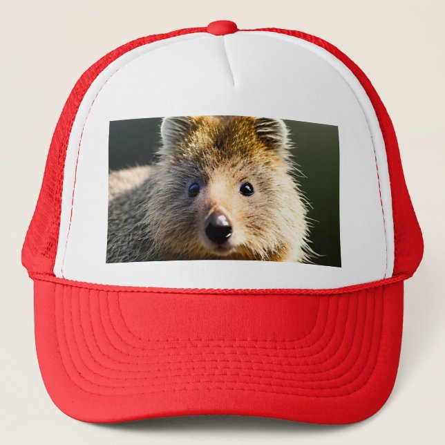 Boné Quintin The Ginger Quokka, Truckers Hat (Frente)