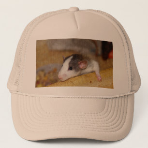 Boné Rato