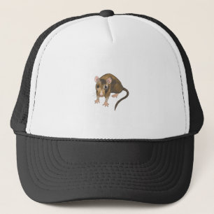 Boné Rato