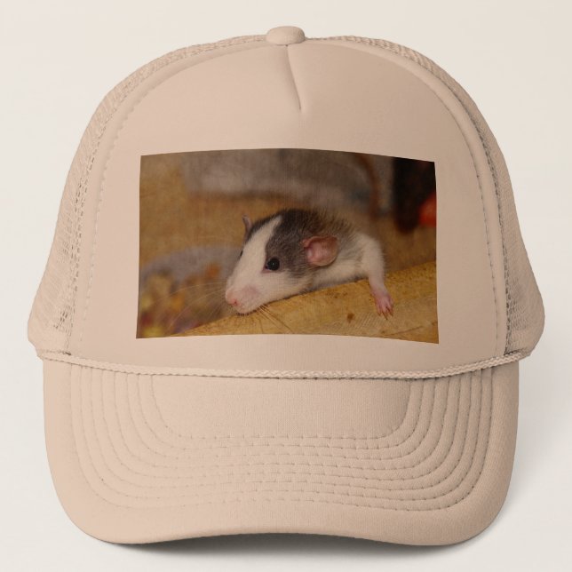 Boné Rato Cujo (Frente)