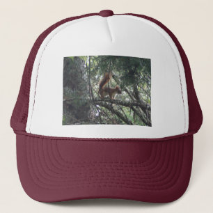 Boné Red Squirrel Trucker Hat