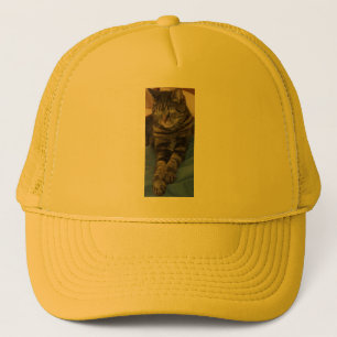 Boné Regal Dave Trucker Hat