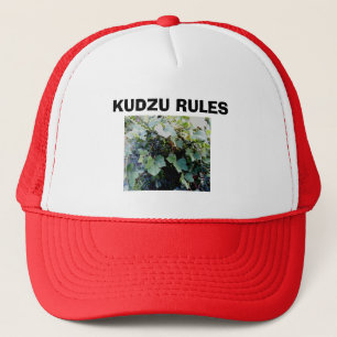 BONÉ REGRAS DE KUDZU