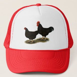 Boné Rhode Island Red Bantams