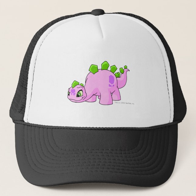 Boné Rosa de Chomby (Frente)