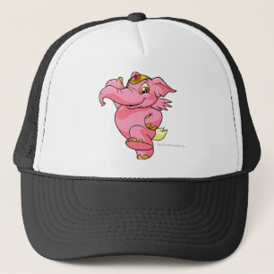Boné Rosa de Elephante