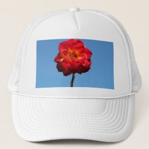 Boné Rosa Phoenix no chapéu do Céu