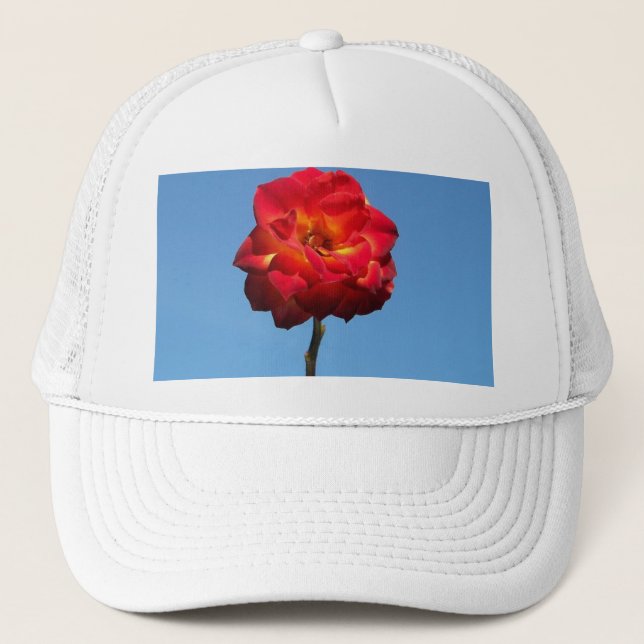 Boné Rosa Phoenix no chapéu do Céu (Frente)