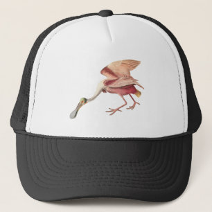 Boné Roseate Spoonbill Wading Bird Ilustração Arte