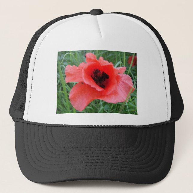 Boné Roter Mohnblumenkelch (Frente)