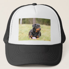 Boné Rottweiler