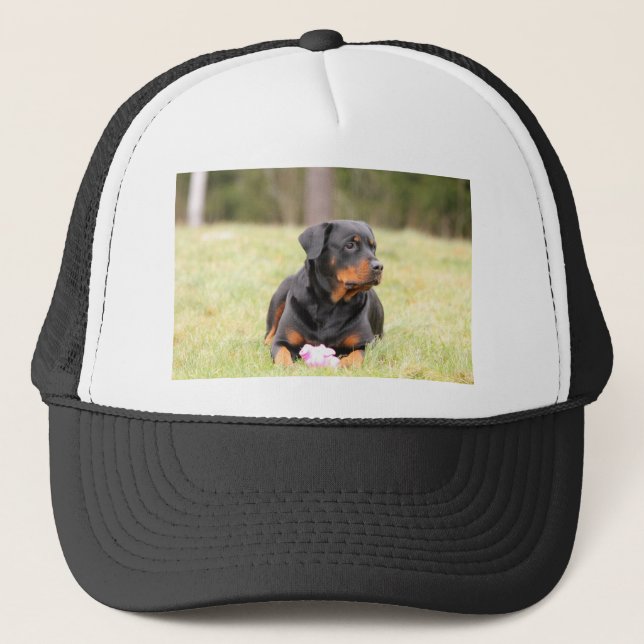 Boné Rottweiler (Frente)