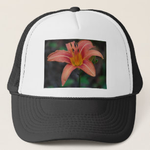 Boné Roupa e presentes adoráveis de Tawny Daylily