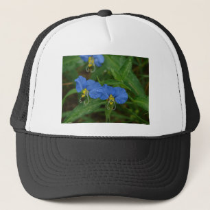 Boné Roupa e presentes de flor azul asiático WIldflower