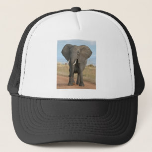 Boné Safari African Jungle Destinants Elephants