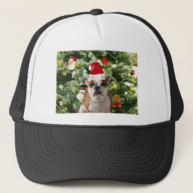 Boné Santa Hat Bulldog Árvore de Natal Snowman Caixa de (Frente)