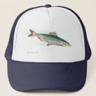 Boné Sardinha