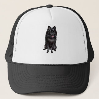 Boné Schipperke (B)