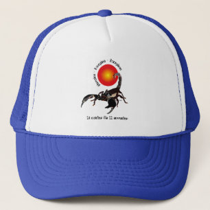 Boné Scorpiun 24 october fin 22 Cap November