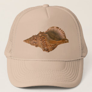Boné Seashell Shell de Triton do vintage, animal