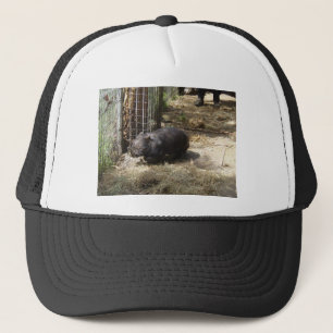 Boné Selvagem para Wombats