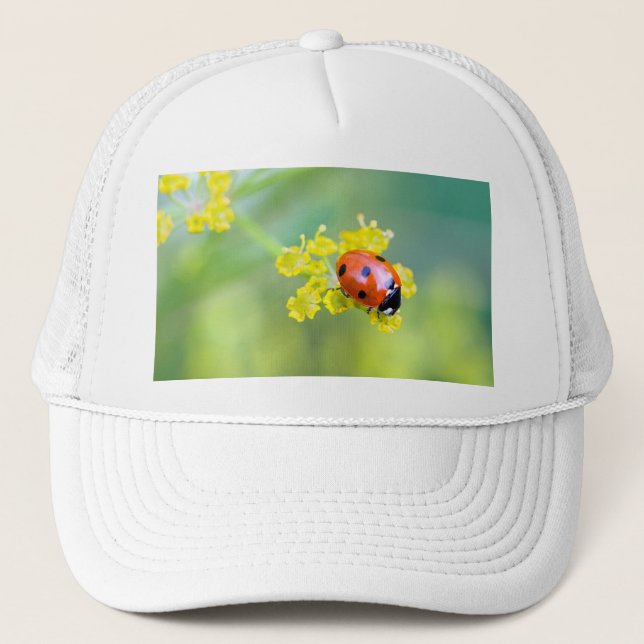 Boné senhora no topo (Frente)