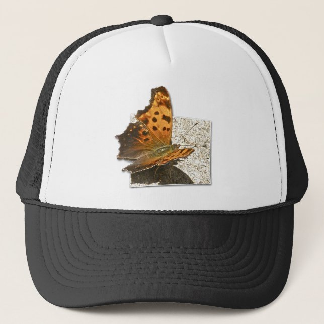 Boné Série Angle Wing Comma Butterfly (Frente)