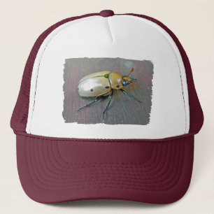 Boné Série Grapevine Beetle (Pelidnota punctata)