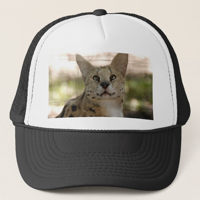 Boné serval 017 (Frente)
