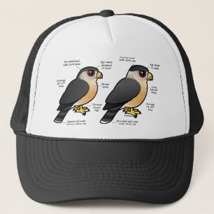 Boné Sharpie da capoeira v