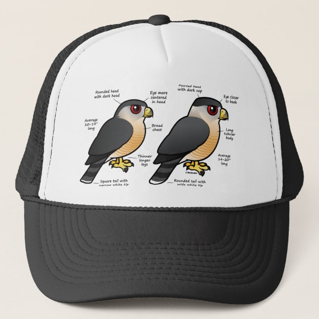 Boné Sharpie da capoeira v (Frente)