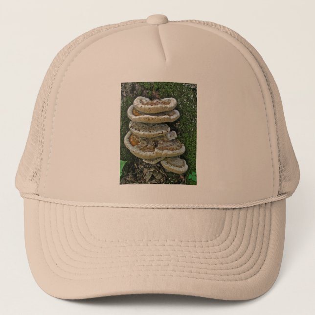 Boné Shelf Fungi em Stump (Frente)
