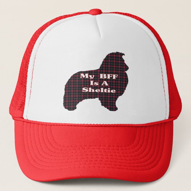 Boné Sheltie BFF Gifts (Frente)