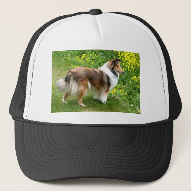 Boné Sheltie Shetland Sheepdog Painting (Frente)