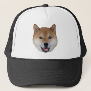 Boné shibe.png