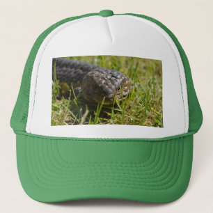Boné Shingleback Lizard Face,