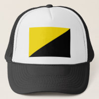 Símbolo anarquista da bandeira do capitalismo anar
