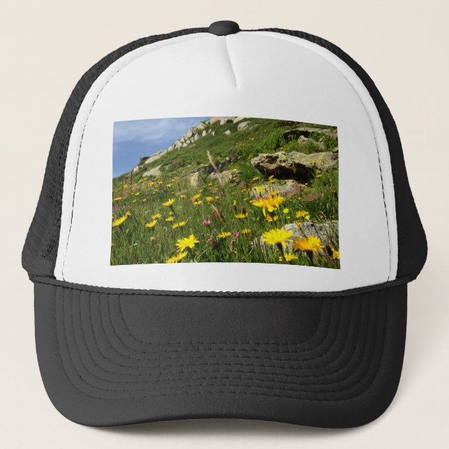 Boné Solte a sua imaginação! Flores alpinas (Frente)
