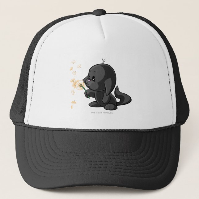 Boné Sombra de Kacheek (Frente)