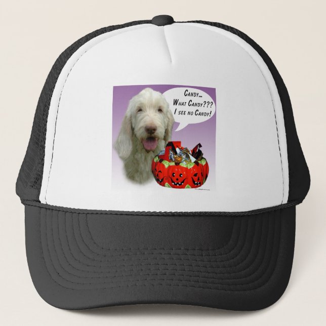 Boné Spinone Italiano Halloween Candy (Frente)
