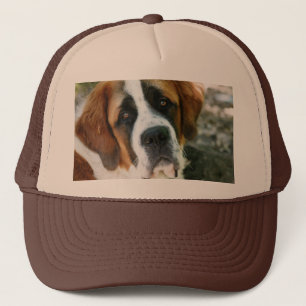 Boné St Bernard