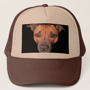 Boné Staffordshire Bull Terrier Face,
