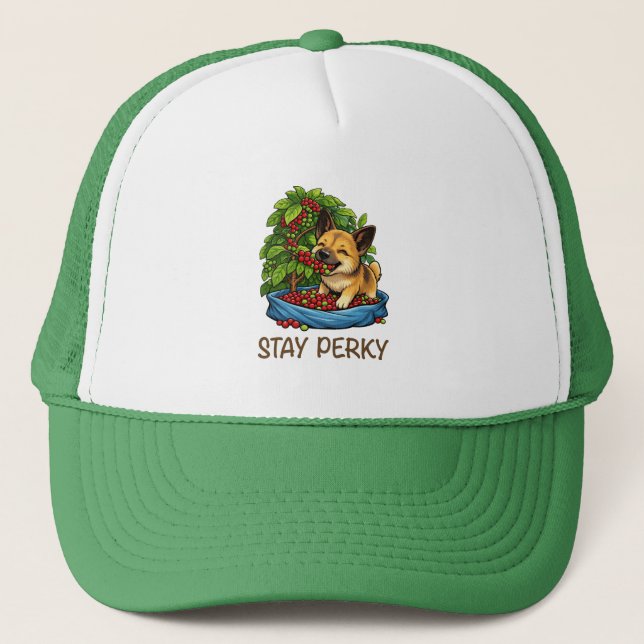 Boné Stay Perky Motivational Trucker Hat (Frente)