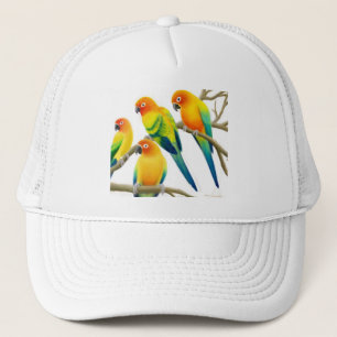 Boné Sun Conure repete mecanicamente o chapéu